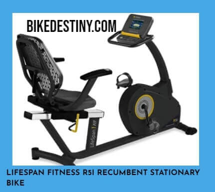 LifeSpan Fitness R5i Recumbent Stationary Bike