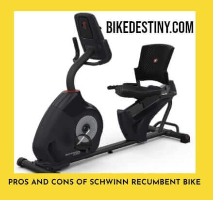 Pros and cons of Schwinn Recumbent Bike