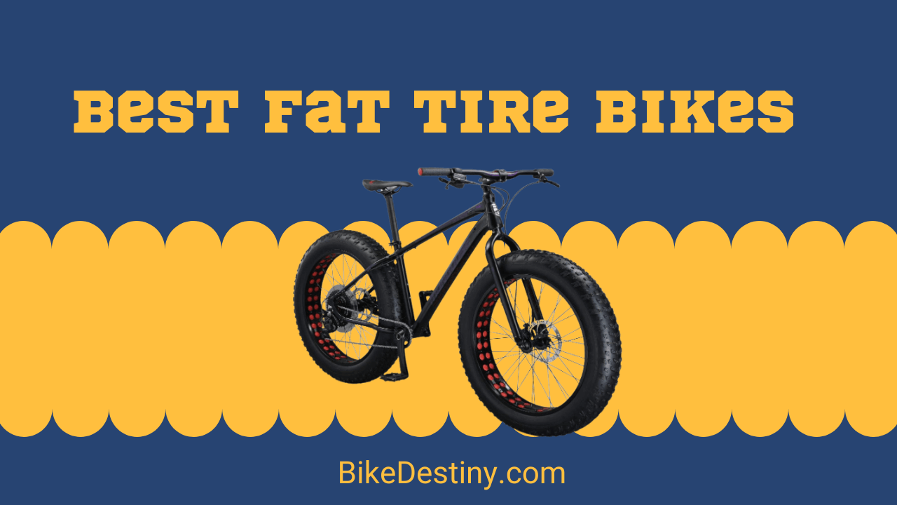 Best Fat Tire Bikes for the Money