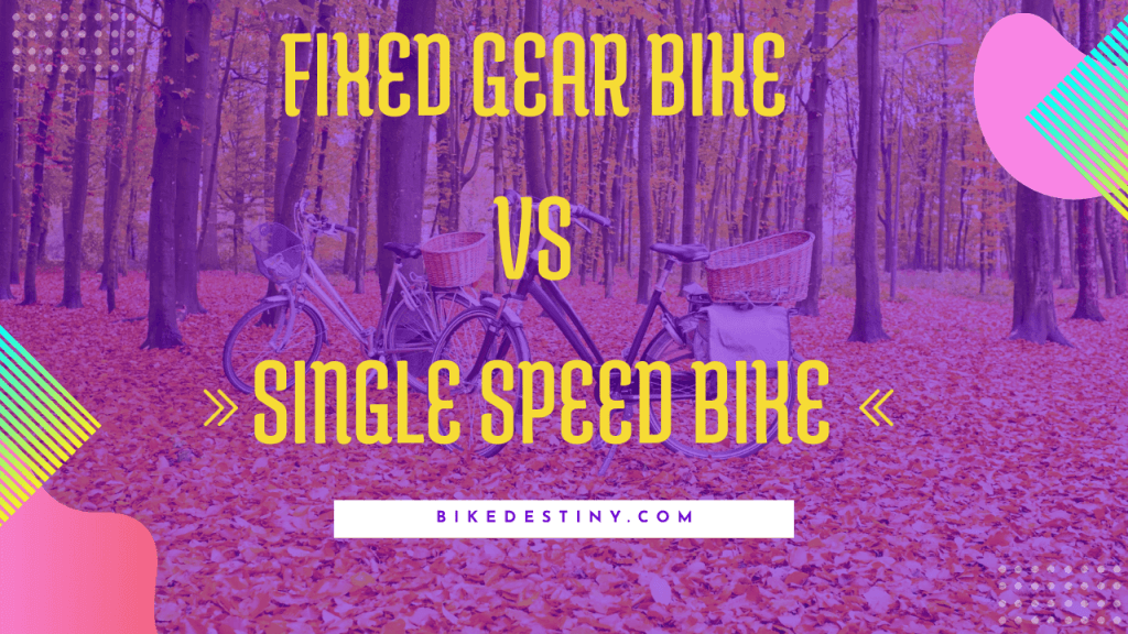 Fixed Gear Bike Vs Single Speed