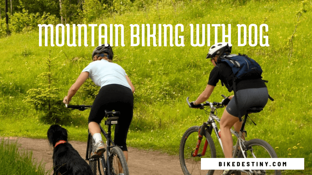 Mountain biking with Dog