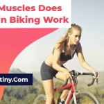 What Muscles Does Mountain Biking Work