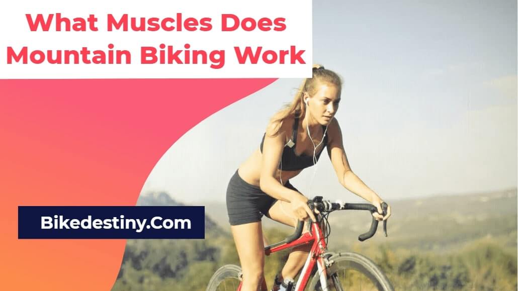 What Muscles Does Mountain Biking Work