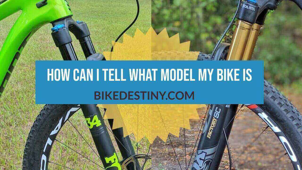 How Can I tell What Model My Bike Is